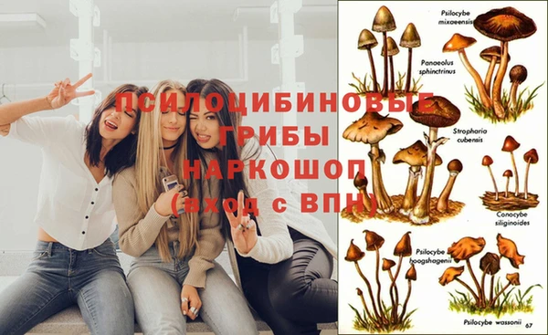 герыч Волосово