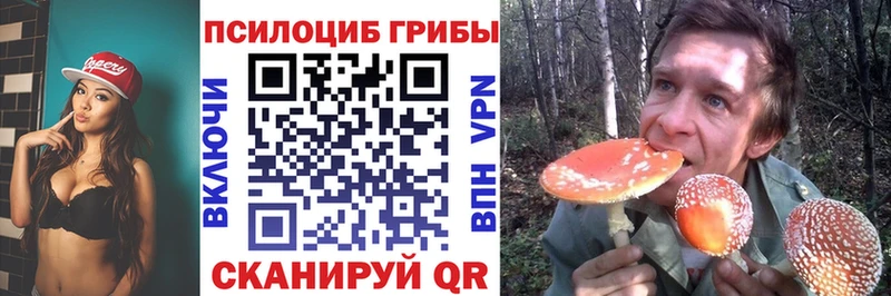 Купить где  Иваново  Псилоцибиновые грибы мухоморы 